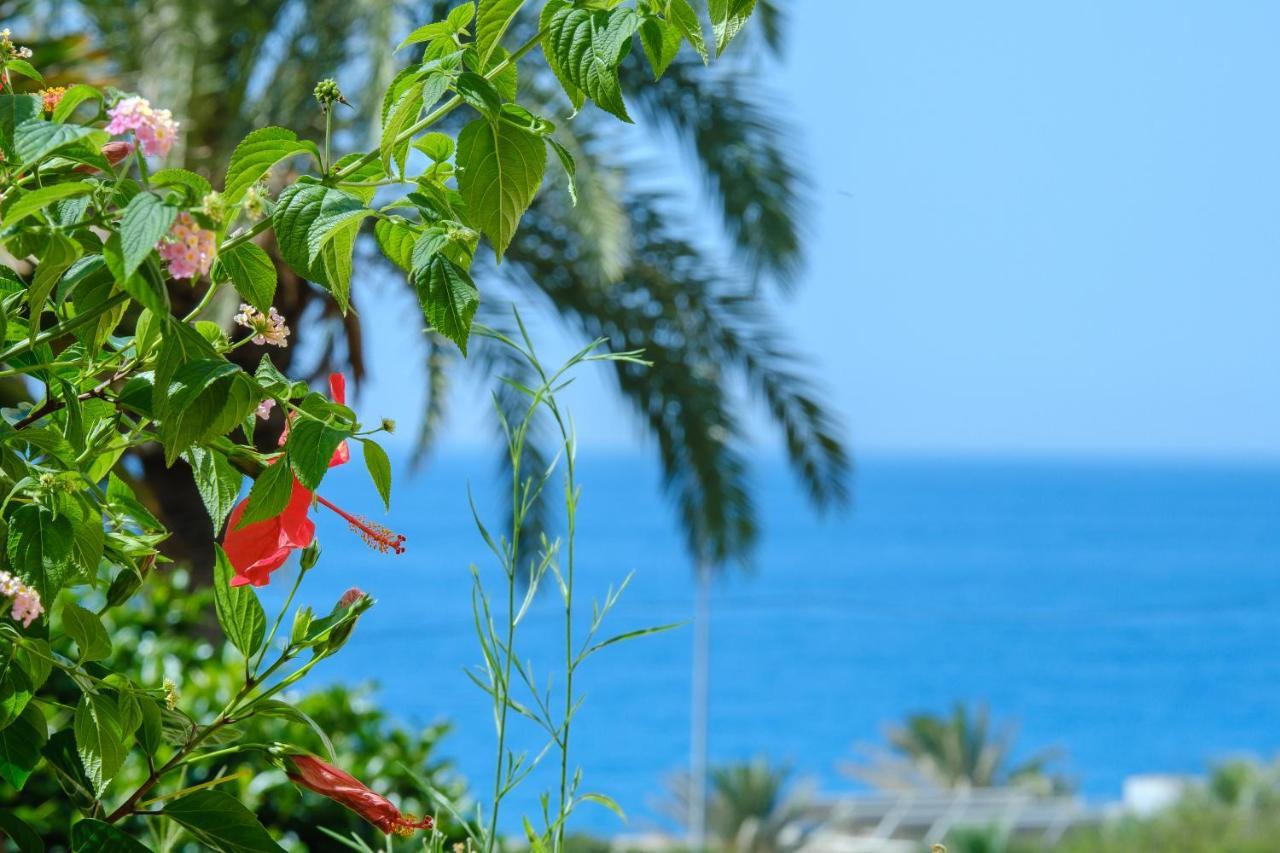 Beautiful Torreoceano 92, Pool, Beach Access La Cala De Mijas Eksteriør billede
